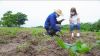 Gobernación inició acompañamiento a agricultores beneficiados con kits de siembra