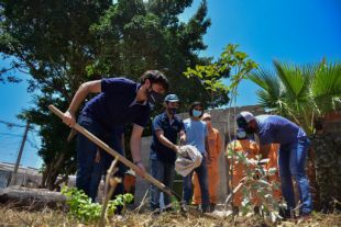 &#039;BAQCultiva Vida&#039; lleva árboles frutales y huertas a las casas de los barranquilleros