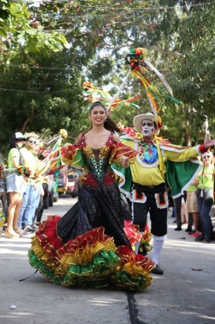 Carnavaleros, pónganse bacanos para gozar sanamente la fiesta de la vida