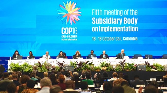 COP16: Delegaciones del mundo ya están en Colombia