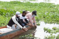 C.R.A y fundación ALITIC liberaron 110 hicoteas en ciénaga El Uvero.