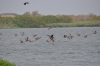 Calidad de agua en Lago El Cisne garantiza preservación de fauna y flora