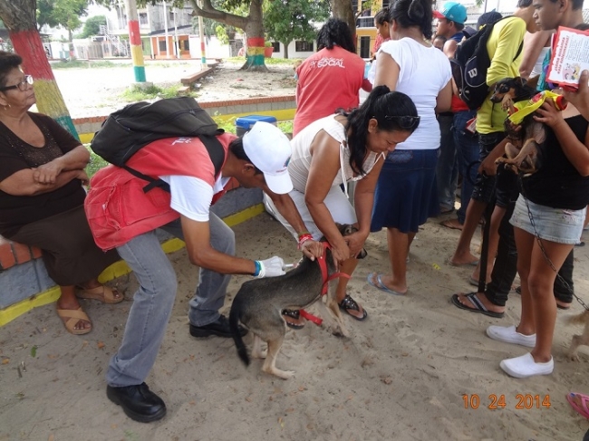 Jornada de vacunación contra la rabia para caninos y felinos, en Malambo
