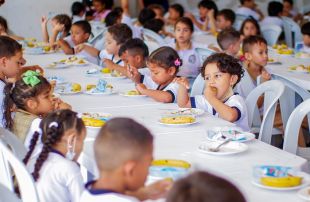 Educación, salud, inclusión, bienestar y recreación: oferta del Distrito para la niñez