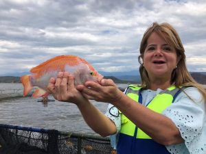 Con el Banco del Bienestar, &quot;Nuestra gente vivirá tranquila&quot;: Elsa Noguera