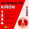 Riñón sano: consigna de AMBUQ