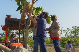 El vivero ‘Río Dulce’, donde crecen los sueños de una biodiverciudad en Barranquilla