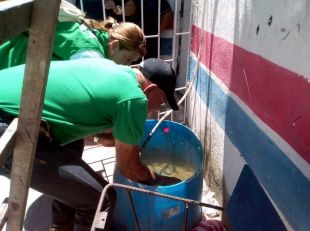 Distrito sigue la lucha contra el Dengue en los barrios