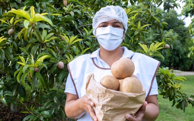 Más de 2.800 productos de mango y níspero se vendieron en Sazón Atlántico