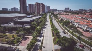 Barranquilla es distinguida como una de las ‘Ciudades árbol del mundo’