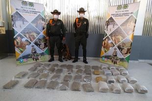 &#039;África&#039; lo hizo de nuevo: la canina de la Policía Metropolitana olfateó un cargamento de marihuana