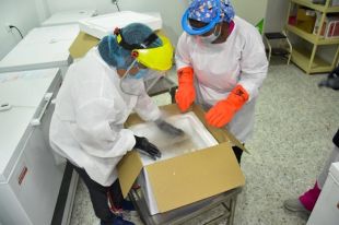 Santa Marta recibió 3.120 vacunas de AstraZeneca