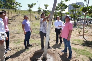 Siembra Barranquilla también llegará a corredores del Área Metropolitana