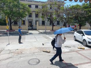 Ante ola de calor, tome nota de estas recomendaciones