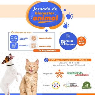 Por el bienestar animal, primera jornada de atención integral en SENA Malambo