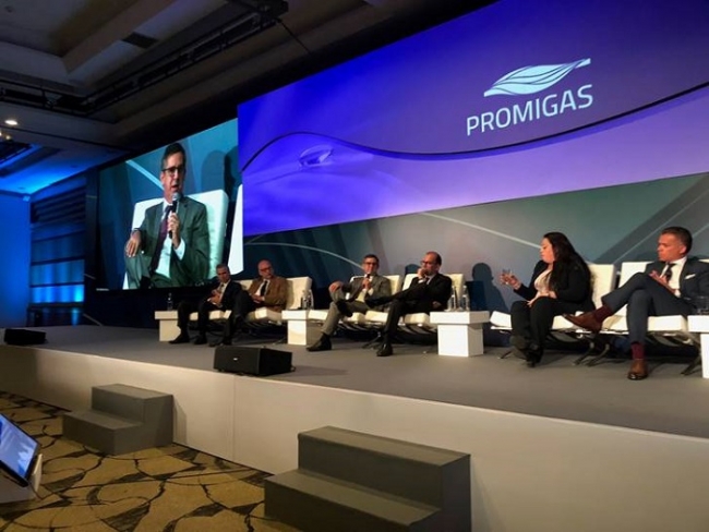 Promigas presentó informe del Sector Gas Natural 2018