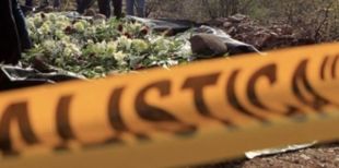 Asesinan cuatro campesinos en Guáimaro y Tarazá