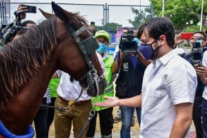 El abecé del programa con el que Barranquilla sustituirá los vehículos de tracción animal