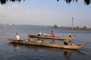 Caños de la Ciénaga Grande de Santa Marta se recuperan