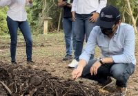 El reto de ser una biodiverciudad: así es el piloto con el que Barranquilla aprovecha los residuos orgánicos del mercado El Playón