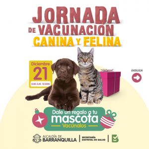 En Navidad lleva a tus mascotas a la jornada de vacunación