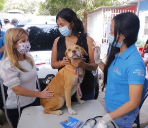 “Seguimos llevando jornadas de bienestar animal a todos los municipios del Atlántico”: Elsa Noguera