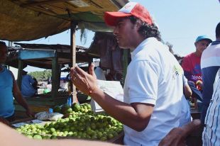 Vamos a dignificar los vendedores ambulantes: Nicolás Petro