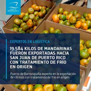 Puerto de Barranquilla experto en la exportación de cítricos con tratamiento de frío en origen