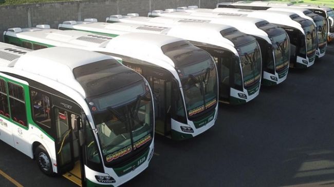 Coolitoral aumenta su flota con nuevos buses tipo padrón