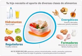 Qué debe tener una lonchera saludable y 10 tips para el ingreso a clases