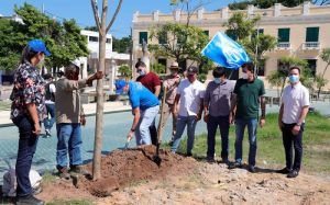 Con la siembra del primer árbol, Gobernación da inicio a las obras de la Plaza Central de Soledad