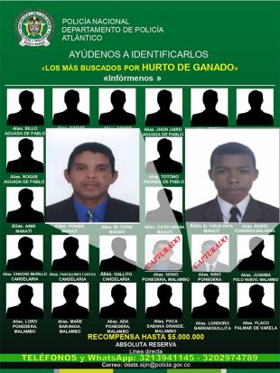 Capturados dos hermanos dedicados al Hurto de ganado