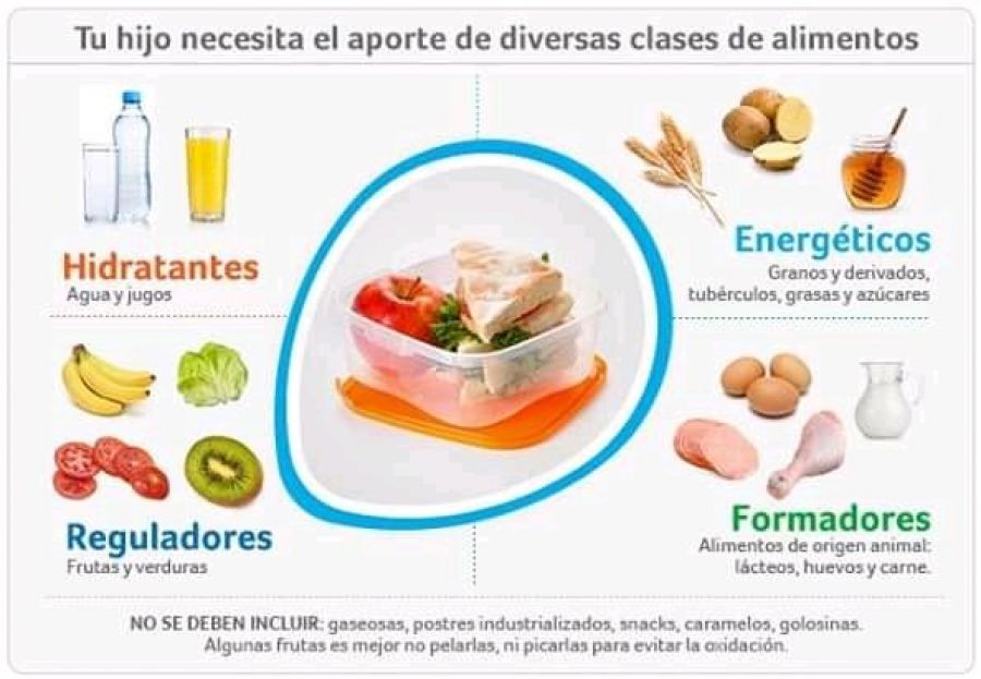 Qué debe tener una lonchera saludable