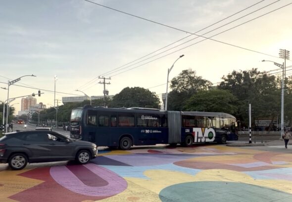 Calle 72 supera los 2.500 metros cuadrados de paisajismo