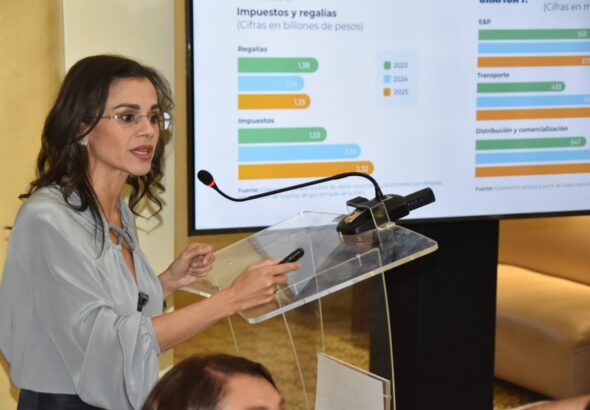 Gas natural proyecta inversiones por USD 1.031 millones en Colombia 18 Luz Stella Murgas, presidenta de Naturgas.
